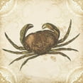 thumbnail image 3 of Wang, Melissa 15x15 Black Modern Framed Museum Art Print Titled - La Mer Shellfish I, 3 of 5