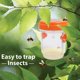 thumbnail image 4 of Trampa para insectos Trampa para avispas con energía solar con luz LED UV Mosca de la fruta efectiva y reutilizable, 4 of 5