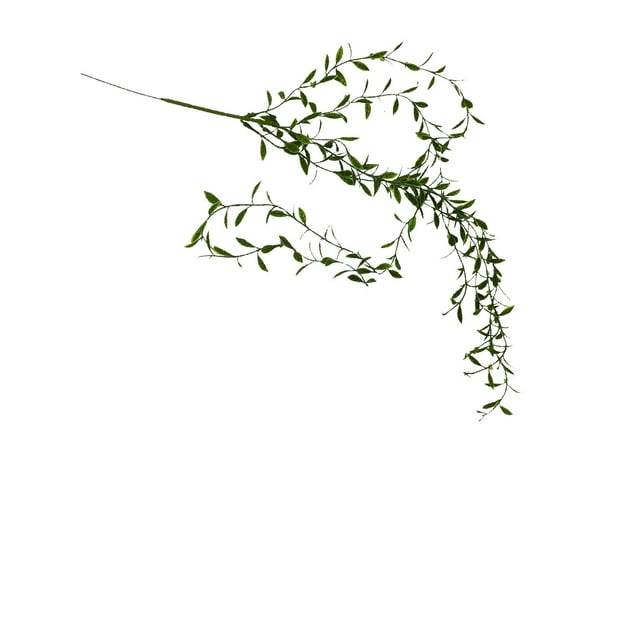 Birdeem Simulation of Decorative Wicker Hanging Wall Hanging Wedding Indoor Green Plant 5 Fork Dragon Rattan.