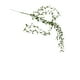 thumbnail image 2 of Simulation Of Decorative Wicker Hanging Wall Hanging Wedding Indoor Green 5 Fork Rattan., 2 of 6