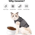 thumbnail image 4 of Cuenco de comida para gatos Elevated LoeJan, cerámica, 150 ml, paquete de 2 unidades, blanco, 4 of 7