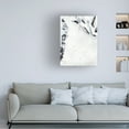 thumbnail image 3 of Joyce Combs 'Fire and Ice II' Canvas Art, 3 of 3
