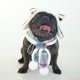 thumbnail image 3 of Disfraz de perro toro: capucha cálida con solapa para orejas para mascotas, bufanda cálida para mascotas, traje de perro para invierno, Halloween, fiesta de cumpleaños de Navidad, 3 of 5