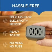 Hot Shot Flying Insect Trap, Captures Fruit & House Flies, 2 Count
