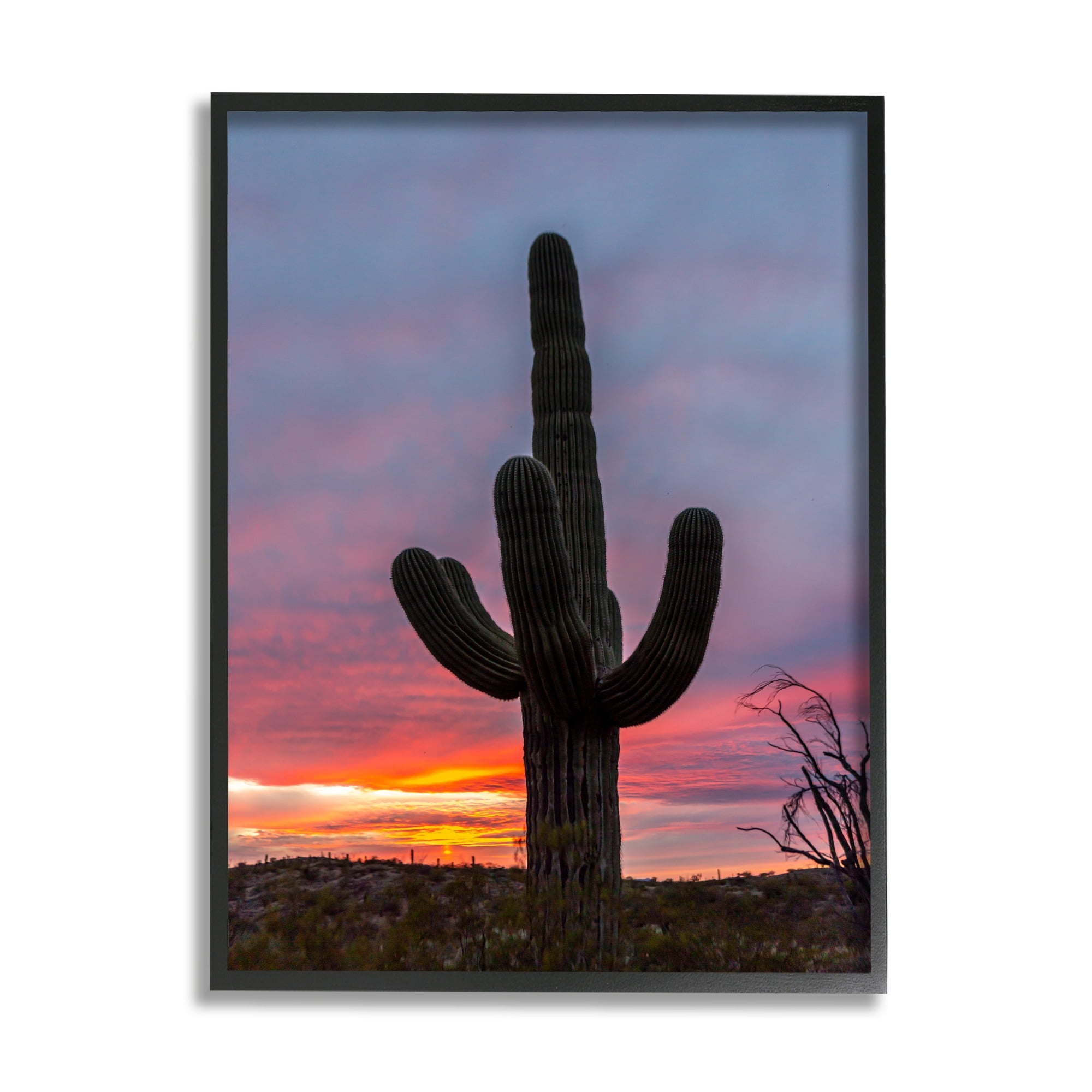 Stupell Industries Desert Cactus Plant Silhouette Radiant Sunset Sky Photograph White Framed Art Print Wall Art, Design by Jeff Poe Photography