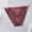 Purple, variant on Womens Pink Floral Embroidered Bikini Panties Low Rise Stretchy Nylon Spandex Breathable No Show Underwear,Size XL