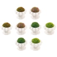 thumbnail image 4 of 8pcs Tiny Flowers Miniature Artificial Flower Plants Mini Decorations for Tiny House, 4 of 6