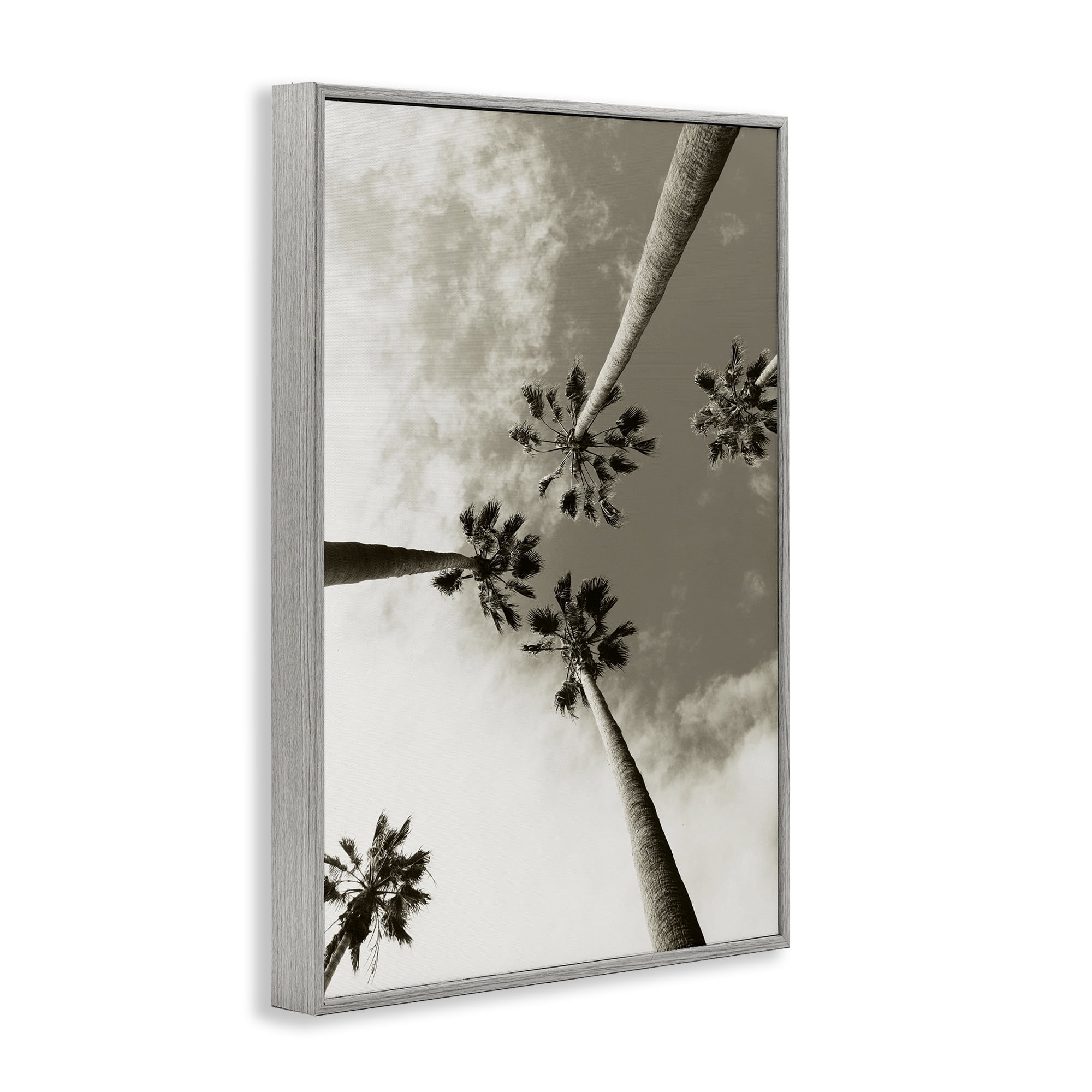 Stupell Industries Centric Palm Trees Botanical & Floral Photography Gray Framed Art Print Wall Art, 20 x 30