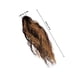 thumbnail image 5 of unbranded Ponytail Clip Extension Marrón De Temperatura Con, 5 of 6
