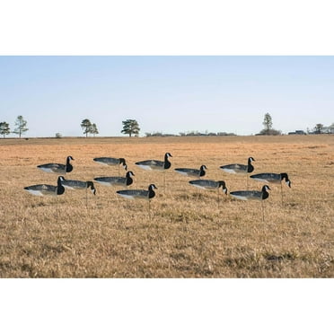 GHG Decoy Systems Pro Grade XD Canada Goose Decoys - Harvester 4 Pack
