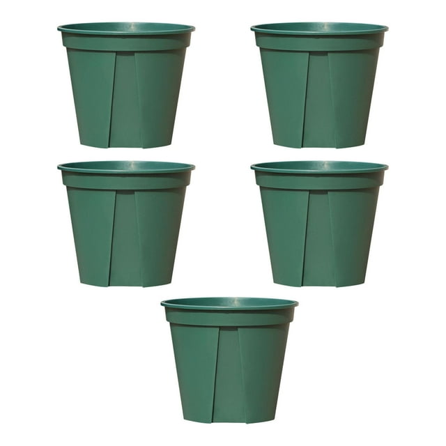 Macetas para Decoración del Hogar Gloria Transpirables para Bonsái Verde