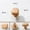 D, variant on TIELUTT Your Cabinets with Stone Pebble Shaped Drawer Pulls – Durable and Easy To Install! Brass Bunny Head Stick on Brass Plaque Max Fan Control Board Hangar Door Hardware Closet Hook