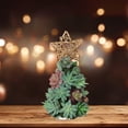 thumbnail image 4 of De Árbol De Navidad Con Estrella Luz Led Suculentas Artificiales Realistas Plantas Adorno De Escritorio Decoración De Navidad Regalos seitruly HA041334-08, 4 of 6