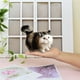 thumbnail image 4 of Juguete realista de gato ronroneante | Modelo de peluche de gato realista | Regalo educativo para niños | Decoración para escritorio y estantería | 12 x 6 x 12 cm, 4 of 5
