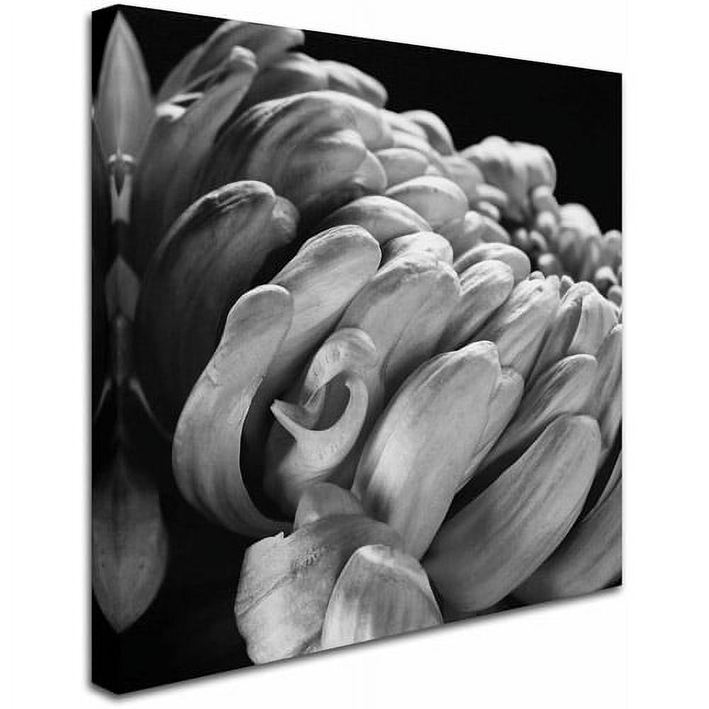 Trademark Fine Art "Mum I" Canvas Art by Michael Harrison