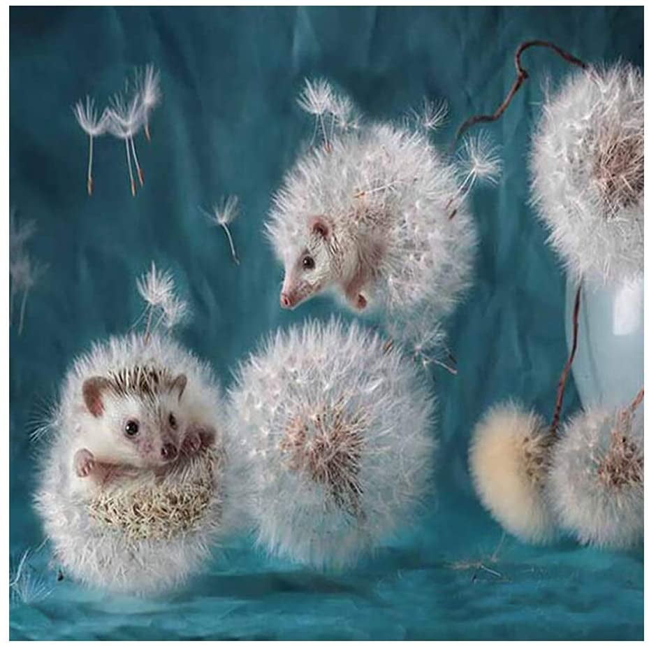 5D Diamond Painting Kit Complete Diamond Embroidery Painting DIY Embroidery Cross-Stitch for Home Wall Decoration 1 Hedgehog 12X12 inches