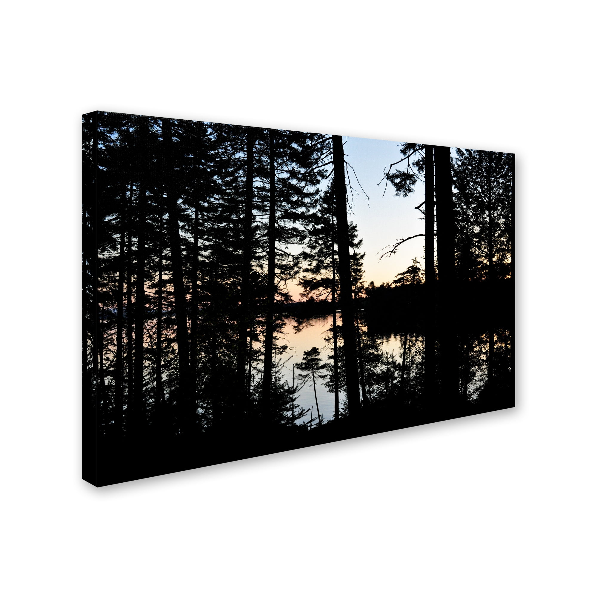Trademark Fine Art 'Sunset Through the Trees' Canvas Art by Nicole Dietz