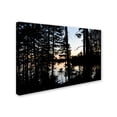 thumbnail image 2 of Trademark Fine Art 'Sunset Through the Trees' Canvas Art by Nicole Dietz, 2 of 3