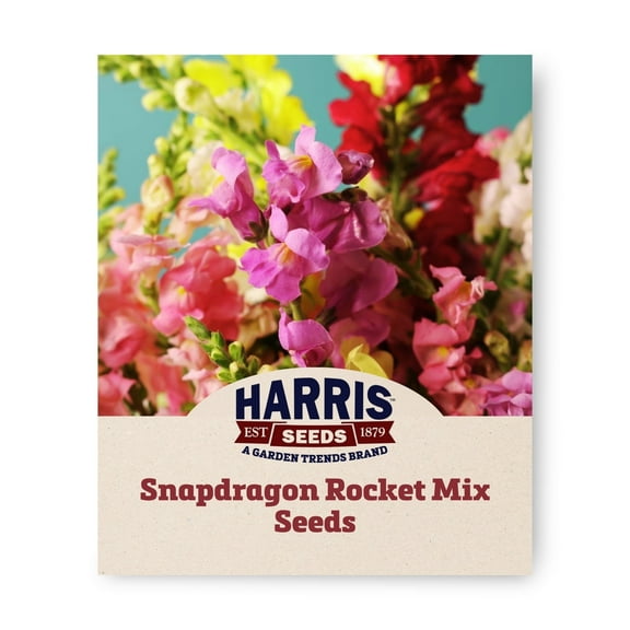 Harris Seeds Snapdragon Rocket Mix F1 Plant Seeds, Annual Heat Tolerant