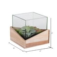 thumbnail image 4 of Vickerman 6" Artificial Green Assorted Succulents in Wood Container and Glass Top., 4 of 4