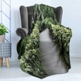 thumbnail image 4 of East Soft Flannel Fleece Throw Blanket, Scenic Wooden Pathway in Singapore Botanical Garden Rainforest Tropical, Cozy Plush for Indoor and Outdoor Use, 60" x 80", Green Brown Fern Green, by Ambesonne, 4 of 5