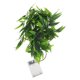 thumbnail image 4 of KAKOWELY Guirnalda de luces LED de 20 luces LED con hojas de salix artificiales para decoración, 4 of 5