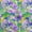 Amethyst, variant on oneOone Polyester Spandex Light Green Fabric Floral & Sewing Fabric By The Yard Printed Diy Clothing Sewing Supplies 56 Inch Wide