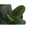 thumbnail image 5 of Artificial Plant - 31" Tall - Indoor - Floor - Potted - Green Leaves, 5 of 6
