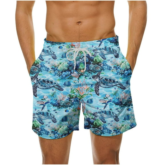 Turilly Men's Summer Shorts Shorts Stretch WaistSummer Loose Beach Shorts Pocket Swimming Pants L