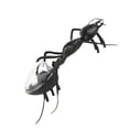 thumbnail image 2 of Ant Insect Kids Cockroach Toys toy solar toy children Magic Solar Powered Insect Play Learn Educational Toys Gift, 2 of 9