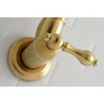thumbnail image 4 of Kingston Brass KS3107AL Restoration Wall Mount Pot Filler Kitchen Faucet, Brushed Brass, 4 of 5