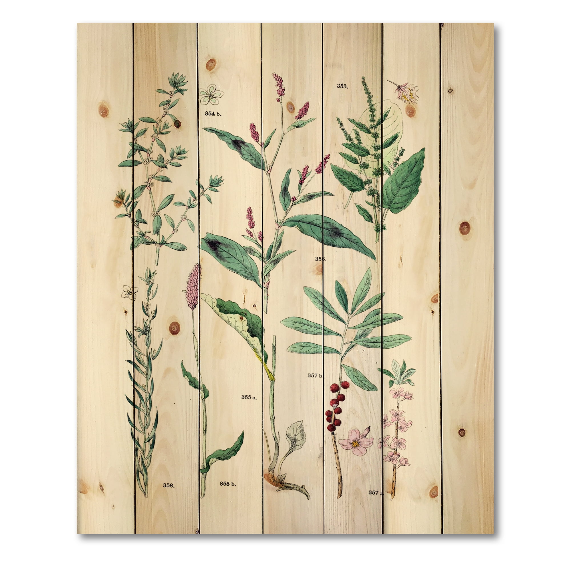 Designart 'Ancient Plants' Traditional Print on Natural Pine Wood