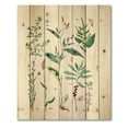 thumbnail image 3 of Designart 'Ancient Plants' Traditional Print on Natural Pine Wood, 3 of 5