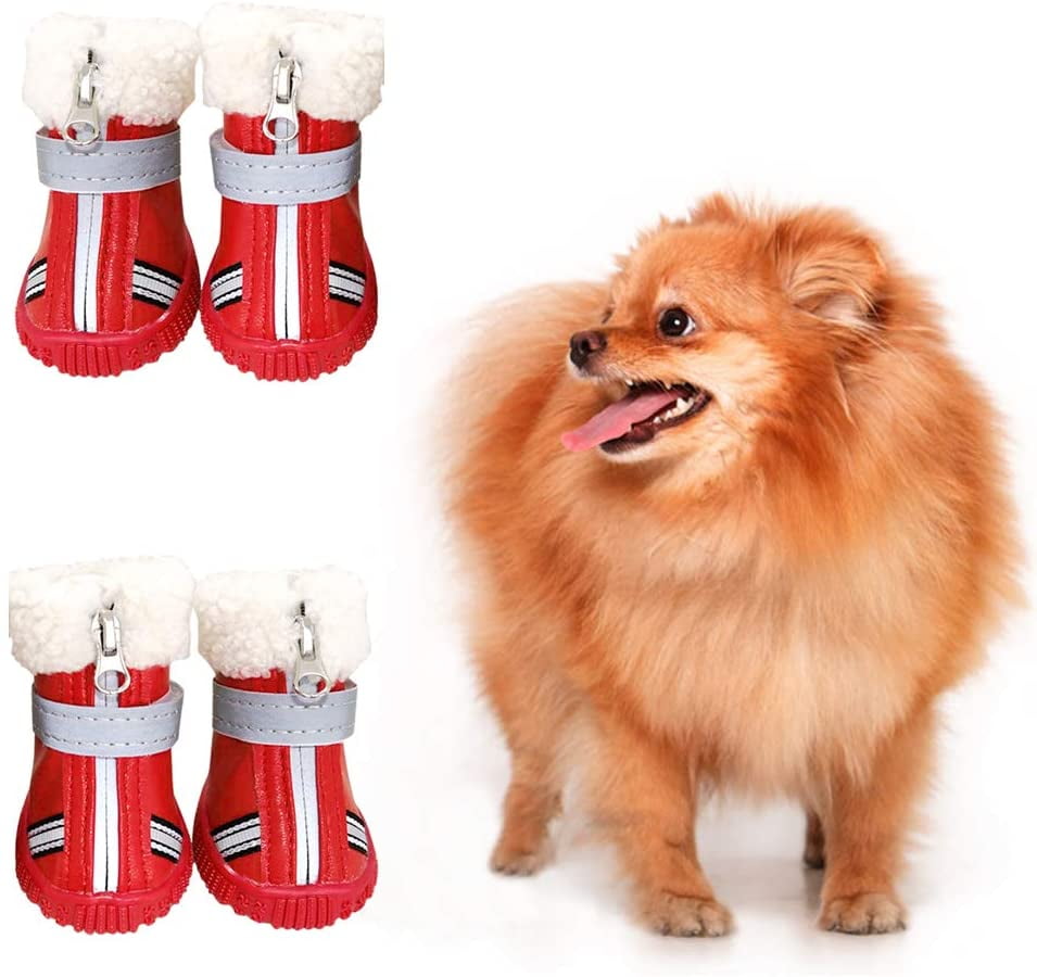 Do Dogs Need Shoes