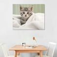 thumbnail image 2 of Nawypu AMERICAN SHORTHAIR KITTEN Animal Poster - Poster Print Art Poster Canvas Prints Wall Art For Home Office Cinema Decorations With Framed, 2 of 4