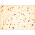 thumbnail image 1 of Ahgly Company Indoor Rectangle Solid Brown Modern Area Rugs, 5' x 8', 1 of 4
