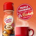 Nestle Coffee mate Pumpkin Spice Liquid Coffee Creamer, 16 fl oz