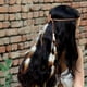 thumbnail image 2 of 2 diademas de plumas indias, estilo hippie, atrapasueños, accesorio tribal para el cabello de los años 20, para mujeres y niñas, 2 of 5