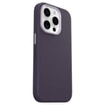 thumbnail image 2 of OtterBox Symmetry Cactus Leather Case for iPhone 15 Pro, 2 of 4
