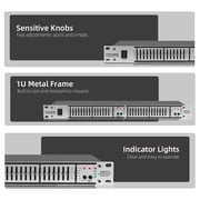 Stereo Equalizer for Home Audio System, Dual Channel 15-Band Silver Graphic Equalizer Professional Rack Mount DJ EQ, Noise Reduction - EQ215S