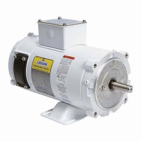 Leeson Washdown Motor,1/2 HP,90VDC 108226.00