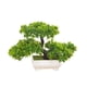 thumbnail image 1 of EeaseMX Plantas simuladas: Pino de saludo de 3 tenedores, planta de plástico en maceta, adornos pequeños (verde), 1 of 8