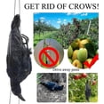thumbnail image 2 of Newway Realistic Hanging Dead Crow Decoy Lifesize Extra Black Feathered Crow, 2 of 5