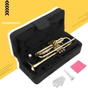 Ktaxon Bb Standard Trumpet Set, Gold Lacquer Brass with Case for Students Beginner School Band