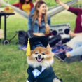 thumbnail image 4 of Kingtowag Pet Graduation Cap Hat with Adjustable Tassel, Dog Cat Bachelor Doctor Costume Photo Prop, Puppy Student Hat, Playful Festive Photo Accessory, 4 of 9