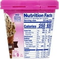 BaskinRobbins Chocolate Chip Ice Cream, 14 fl oz