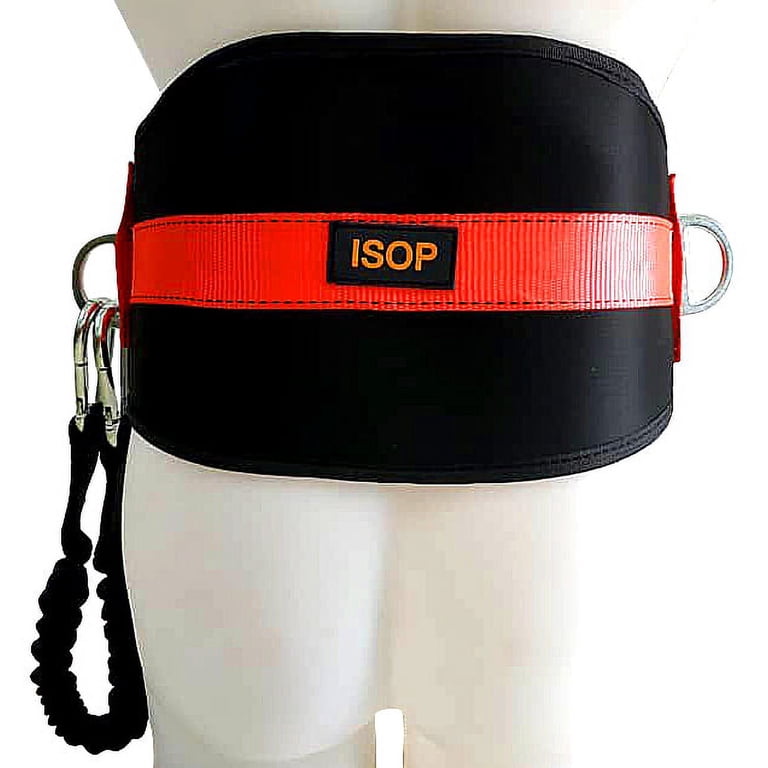 Safety Belt With 2 D-Rings – Fall Arrest & Body Positioning Harness, Adjustable Waist Support, Lightweight For Climbing, Tower Work & Construction