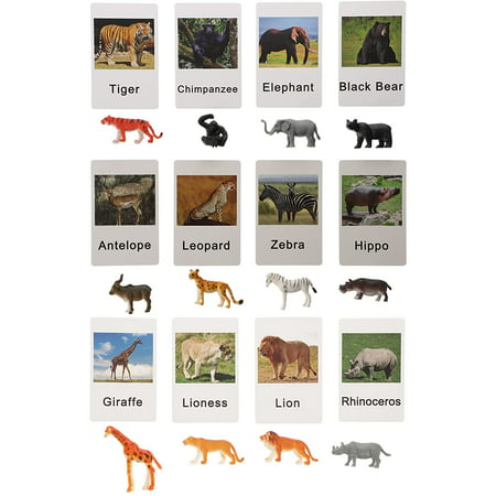 HTCM 1 Set Animal Flash Cards, Kids Animal Matching Toys with Safari Animal  Figurines Early Educational Learning Toys ( 12pcs Flash Cards with 12pcs  Animal Figurines ) | Walmart Canada