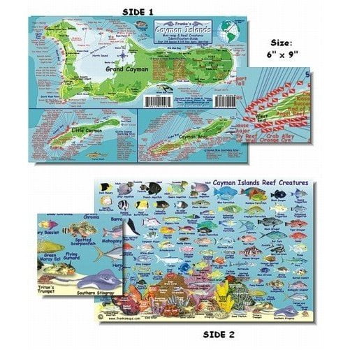 Cozumel Fish and Creature Guide Franko Laminated Maps Fish ID and
