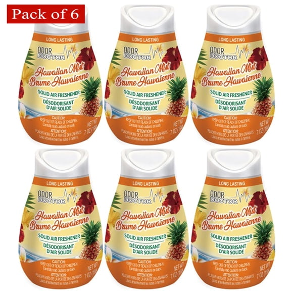 Odor Doctor Solid Air Freshener Cone – Hawaiian Mist, Long‑Lasting Freshness, 250 g (Pack of 6)
